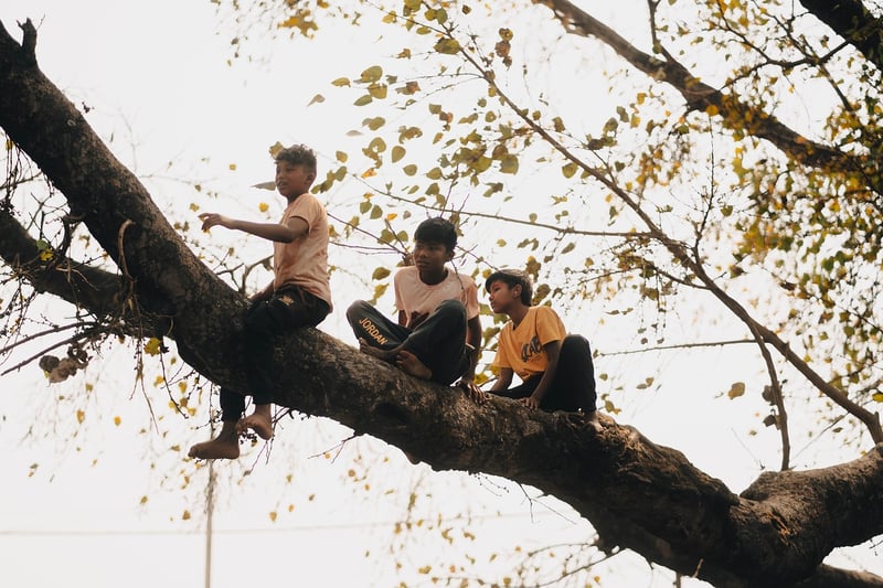 Treehouse Escape